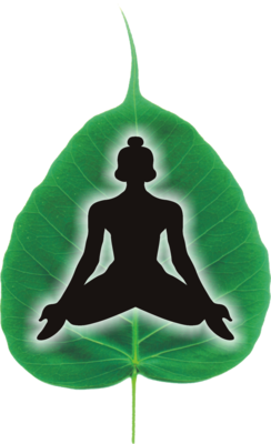Chakrapani Ayurveda